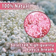 9000+ Bloom Pink Dried Babys Breath Flowers 150 Stems – Bulk Gypsophila