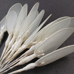 Sheer Nylon Leaf with Pearl 2″ & Wire Stem Wedding Embellishments 36 pieces