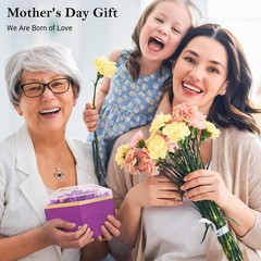 Preserved Rose Gifts for Women, Eternal Flower Rose Box with Heart Necklace, Rom