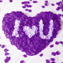 2000 PCS Artificial Silk Rose Petals for Wedding Party Favors Decoration and Vas