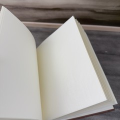 Pottery Barn Leather Bound Photo Album Book Medium Saddle Tan OB
