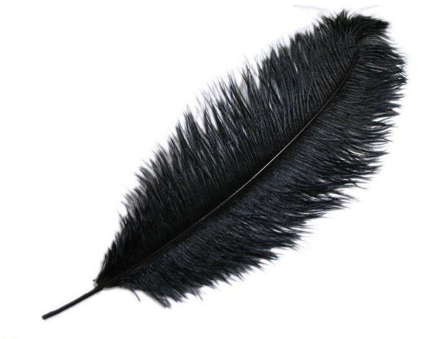 12 pcs 24-26″ long Black Genuine Ostrich FEATHERS Wedding Party Centerpieces