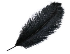 12 pcs 24-26″ long Black Genuine Ostrich FEATHERS Wedding Party Centerpieces