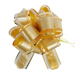 Allgala 12-pc 6 Inch Large Everyday Pull Bows