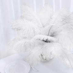 12 pcs 13-15″ long White Genuine Ostrich FEATHERS Wedding Party Centerpieces
