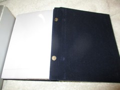 100 Photo Album Pierced Silverplated by Royal Limited 4 X 6 NICE