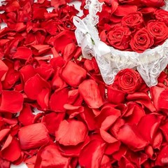 340 PCS Real Red Rose Petals, 3.17oz Dried Flower Confetti Red 3.17oz（90g）