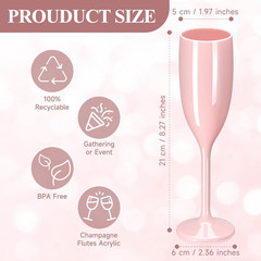 Champagne Flute Acrylic Champagne Glasses Wedding Toasting Champagne Flute Goble