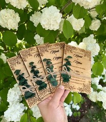 Wedding Invitation | Eucalyptus Wooden Wedding Invitation Set | Rustic Invites