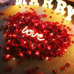 5000PCS Red Artificial Fake Rose Petals Wedding Romantic Event Party Decor USA