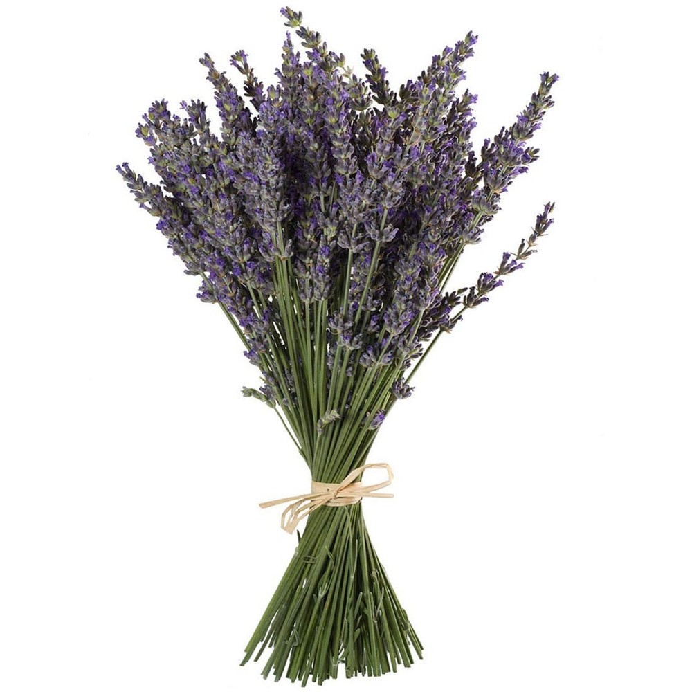 TooGet Natural Lavender Bundles, Freshly Harvested 200+ Stems Dried Lavender …