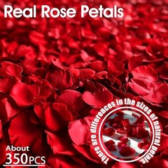 340 PCS Real Red Rose Petals, 3.17oz Dried Flower Confetti Red 3.17oz（90g）