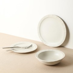 Stone Lain Oasis Stoneware Plate Dish Set 4-Piece Dinner Plates – Ceramic