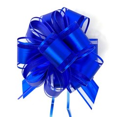 Allgala 12-pc 6 Inch Large Everyday Pull Bows