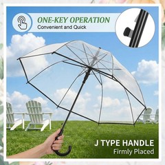 60pcs Auto Open Clear Dome Umbrella 8 Ribs Auto Open Stick Umbrella for Wedding