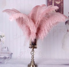 Dark Blush Pink 12 Pieces Ostrich Feather 12-14 inches Dozen Wedding Centerpice