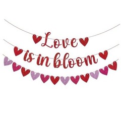 3 Pack Glittery Heart Garland Banner Pre-Strung Heart Bunting Valentines Day