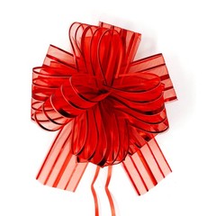 Allgala 12-pc 6 Inch Large Everyday Pull Bows