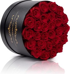 NATROSES Gifts for Her 27 Piece Forever Preserved Roses in a 27 Roses, Red