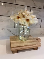 Hydrangea Lighted Mason Jar, Jute Bow, Fairy Lights, Custom Colors Available