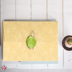 A6 Parchment Envelopes, NEW CHAMPAGNE, 4 3/4 x 6 1/2, 24lb Bond/60lb Text, 25 Pk