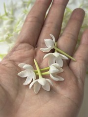 100 PCS White Blooming Gardenia for Jewelry Making, Garland, Home Decor, Wedding