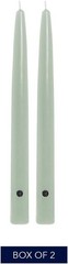 Colonial Candle Bayberry Scented Taper Candle, Virtually 10 In,