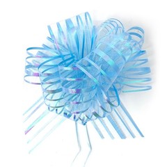 Allgala 12-pc 6 Inch Large Everyday Pull Bows