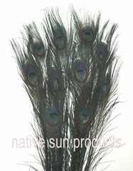 10 Peacock Feathers w/ Eyes 30-35″ L Bleached & dyed Your choice of 21 colors