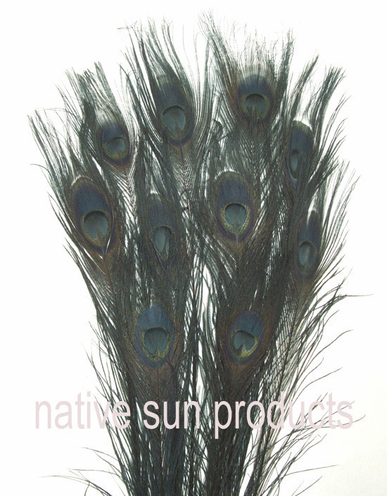 25 Peacock Feathers w/ Eyes 30-35″ L Bleached & dyed Your choice of 21 colors