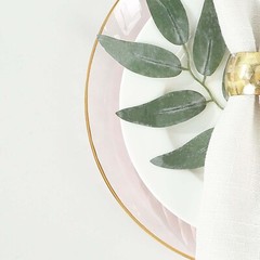 TRANSPARENT BLUSH 10 Glossy 10″ Round Plastic Salad PLATES GOLD Rim Party Events