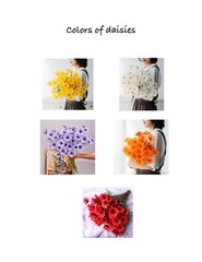 Custom made tulip and daisy bridal bouquet…you choose color