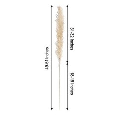 6 SPRAYS STEMS 49″ Natural Pampas Grass Dried Plant Party Events Decorations