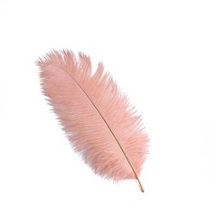 12 pcs 13-15″ long Mauve Genuine Ostrich FEATHERS Wedding Party Centerpieces