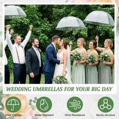 60pcs Auto Open Clear Dome Umbrella 8 Ribs Auto Open Stick Umbrella for Wedding
