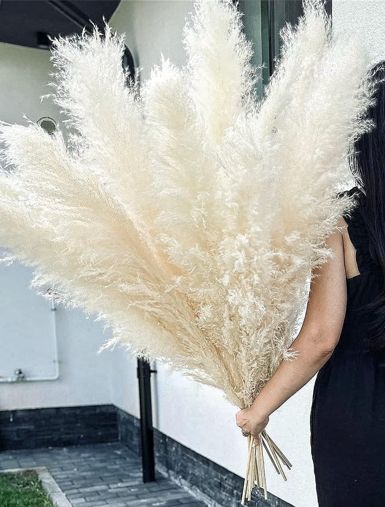 10 Stems 46″ inch White Ppas Grass Decor Tall, Lar Pompas Grass, Boho