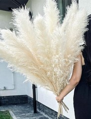 10 Stems 46″ inch White Ppas Grass Decor Tall, Lar Pompas Grass, Boho