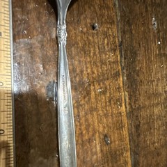 1847 Rogers Bros Silver Plated Cake Knife & Server Set Floral Glossy Handle
