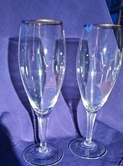 SHIPS FREE 1950s Gold-Rimmed Champagne Flutes , Set of 2, wedding, bridal,