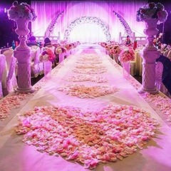 Versatile 1000 Pcs Black Faux Silk Rose Petals for Indoor & Outdoor Decoration