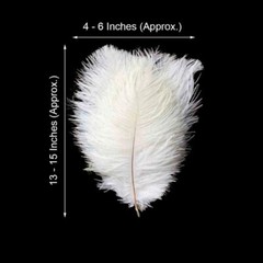 12 pcs 13-15″ long White Genuine Ostrich FEATHERS Wedding Party Centerpieces