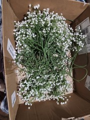 Huge Wedding Lot