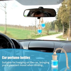 GLSOWEE 5PCS Car Rear View Mirror Charm, 8ml 1 Count (Pack of 1), Clear