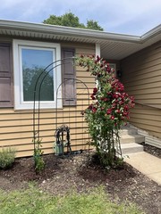 95″ Metal Garden Arch Trellis for Climbing Plants Outdoor Arbors Wedding Arch US