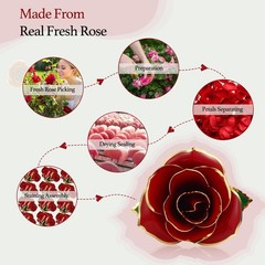 Easegain Gold Dipped Rose 24k Red Straight Stem, (With Stand)
