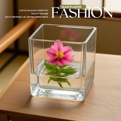 Set of 6 Square Glass Vases for Centerpieces – 4″ x 4″ x 4″ 4in-6pcs Clear