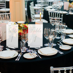20PCS Acrylic Wedding Table Numbers 1-20 with Stands 4X6In Clear for Wedding Par