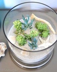 5 lbs. Natural White Beach Sand, Wedding Decor, Terrariums and more…