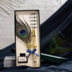 Peacock Feather Pen Set Antique Calligraphy Writing Quill Ink Dip Pen with Ho…