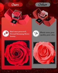 Preserved Red Forever Rose Heart Necklace Gift Box, Medium, Red,silver